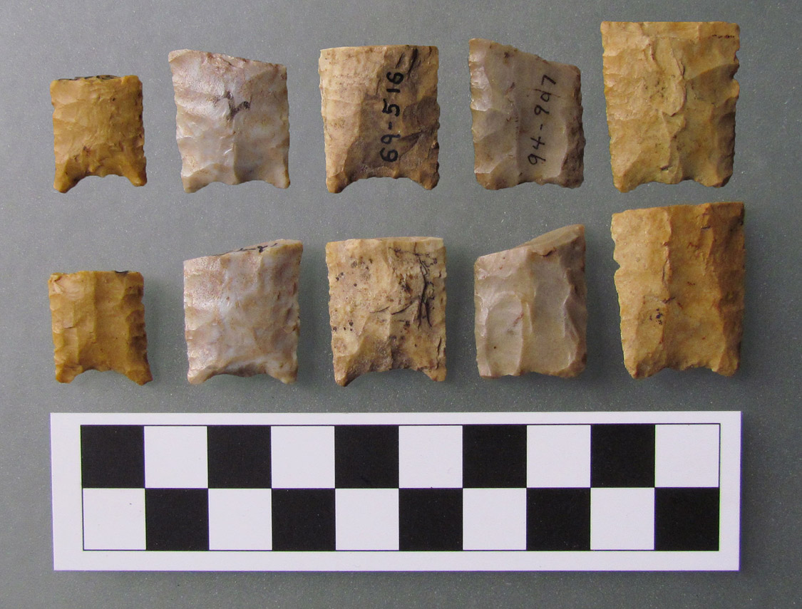 Figure 3. Both sides of Arkansas PFTAS in the collection of ARAS-ASU (Arkansas Paleoindian Database Nos. Left to Right: ARAS-129, ARAS-183, ARAS-132, ARAS-147, ARAS-34.