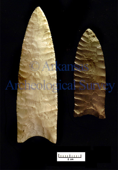 Figure 2. Pitkin &amp; Burlington Daltons. <em>Copyright Arkansas Archeological Survey. Do not reproduce without permission.