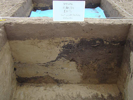 Wall of excavation unit over crossed earthquake cracks at the Manly-Usrey site in NE Arkansas; light material is sand from a sand blow, dark material is midden from an ancient living surface. Photo by Michelle Rathgaber.