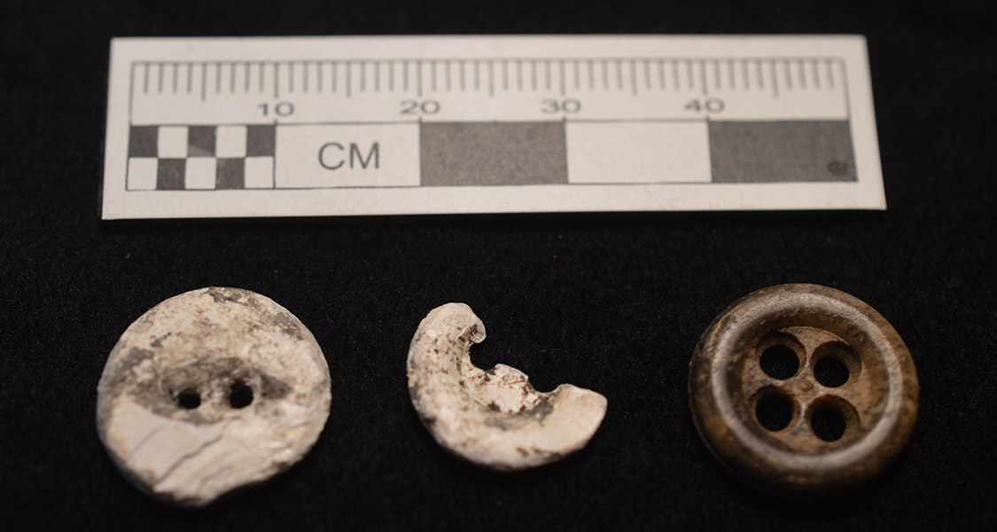 Figure 4. Wood and bone buttons recovered archeologically.