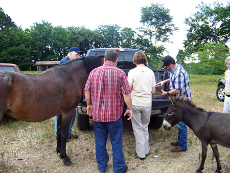 Visiting a landowner to look at a wooden object he recovered from the Ouachita River. Mary Beth Trubitt (ARAS-HSU), Historical Society members, and local residents studying the object. ARASHSUD_K13155, photo by Chelsea Cinotto). Visiting a landowner to look at a wooden object he recovered from the Ouachita River. Mary Beth Trubitt (ARAS-HSU), Historical Society members, and local residents studying the object. ARASHSUD_K13155, photo by Chelsea Cinotto).