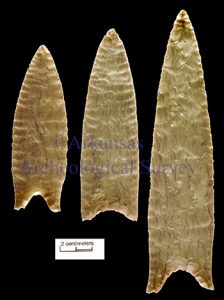 Figure 2. Dalton points from Sloan site (Photo by Jane Kellett). Copyright Arkansas Archeological Survey. Do not reproduce without permission.