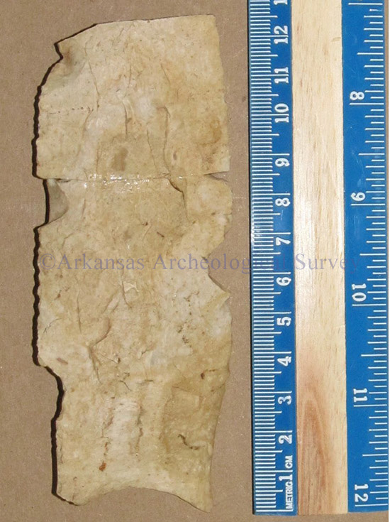 Figure 8. Large Dalton point from Dunklin County, Missouri (photo by J. E. Morrow). Copyright Arkansas Archeological Survey. Do not reproduce without permission.