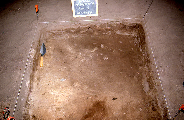 Figure 2: 1986 Excavations of Rockhouse Cave showing the pitted stone in situ on living floor-Feature 3.