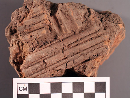 Figure 4: Evidence of cane used as part of the wall running in two different directions on a piece of daub. Photo by Michelle Rathgaber.