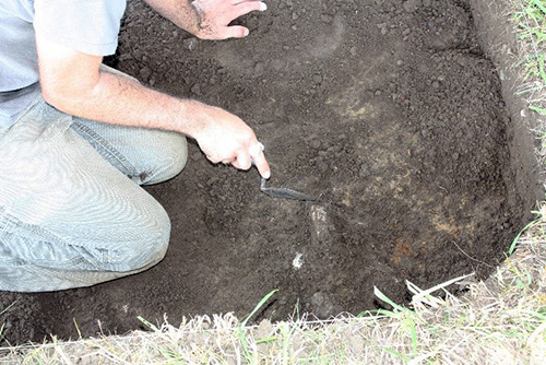 Photo of a person carefully clearing around a feature in an excavation unit.