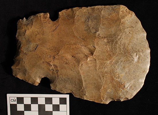 The re-sharpening flake may have come from a Mill Creek Chert hoe like this one. Click or tap for a larger image.