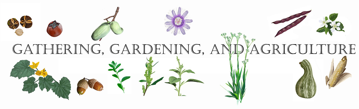 “Gathering, Gardening, and Agriculture”