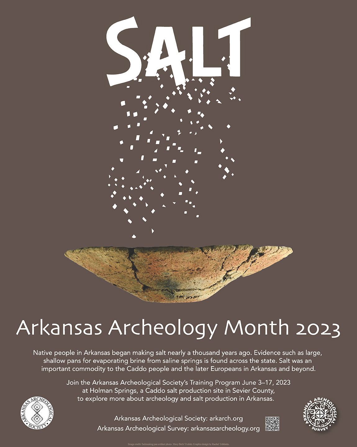 Graphic of a shallow clay pan with white flakes falling into it from the word SALT, set against a dark brown background. Click or tap image to download a printable PDF file of the poster.