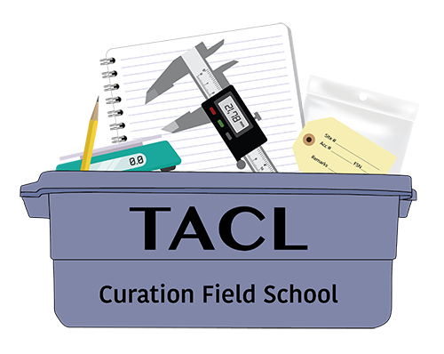 Logo showing a blue plastic container holding various curation tools.