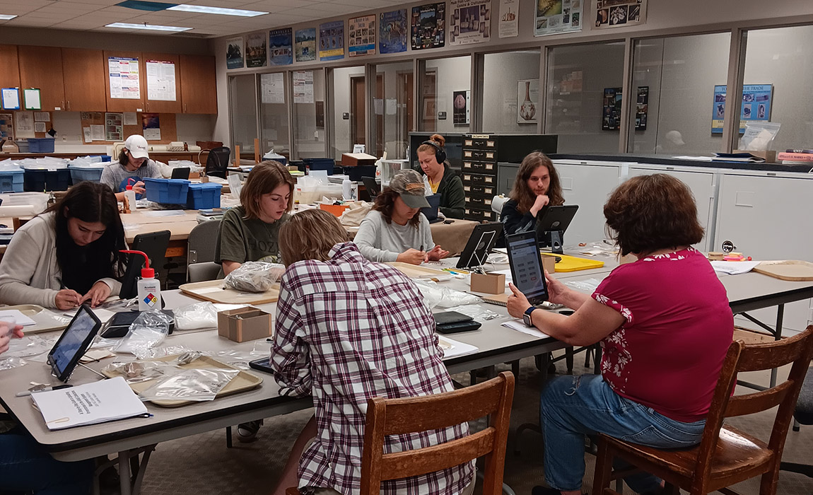 Students from the 2024 TACL Curation Field School.